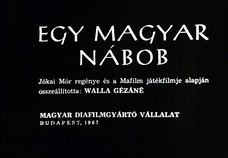 Egy magyar nábob 