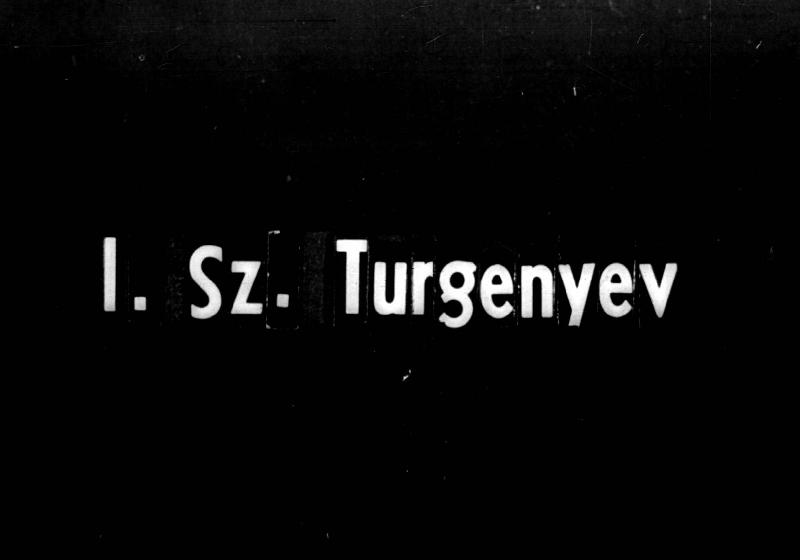 Ivan Szergejevics Turgenyev 