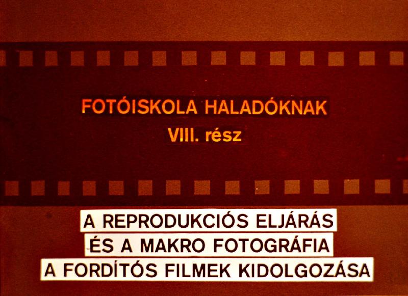Fotóiskola haladóknak VIII. rész : A reprodukciós eljárás és a makrofotográfia A fordítós filmek kidolgozása
