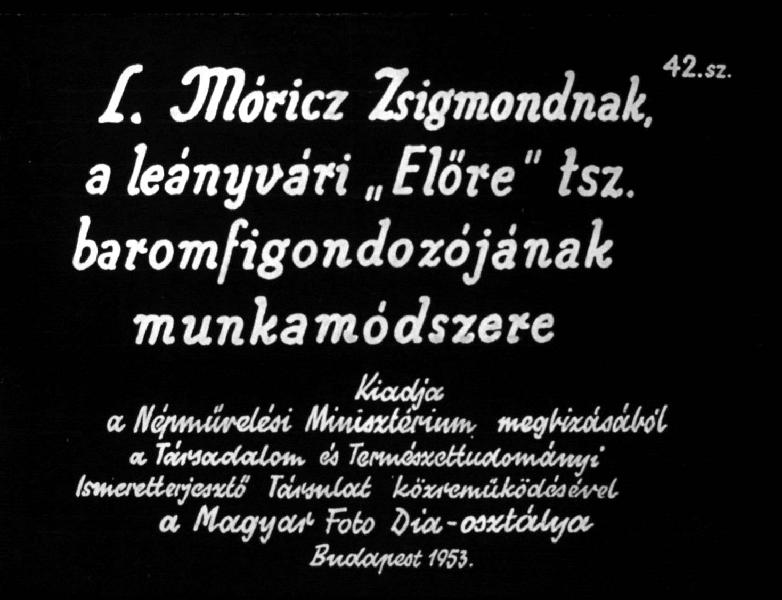 L. Móricz Zsigmondnak, a leányvári 