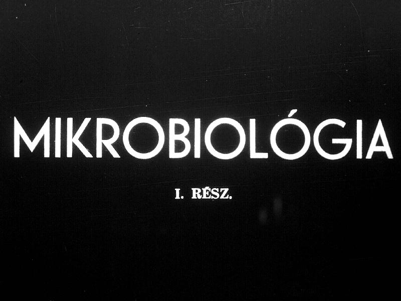 Mikrobiológia I.