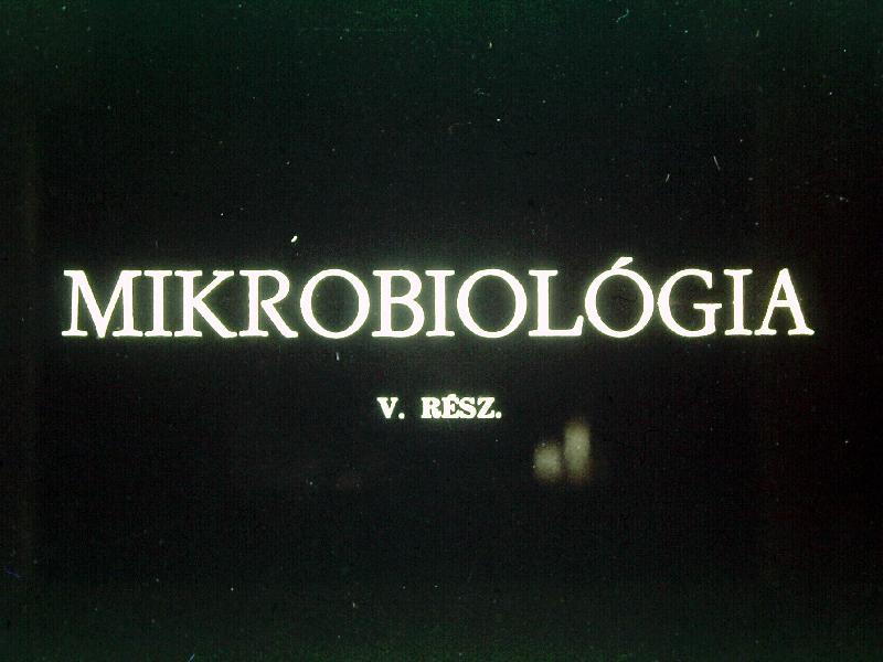 Mikrobiológia V.