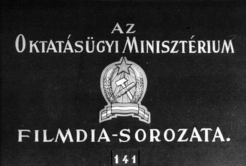 Kezdeti magyar munkásmozgalom 1867 - 1904