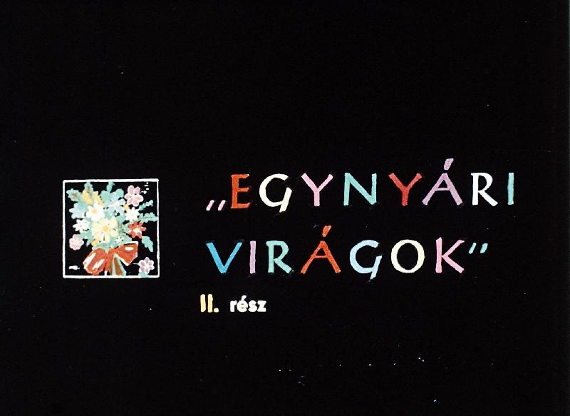 Egynyári virágok II. rész