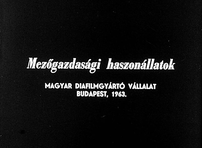 Mezőgazdasági haszonállatok