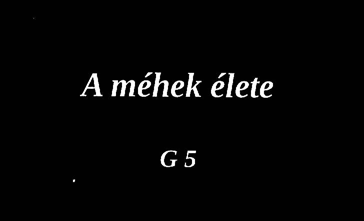 A méhek élete