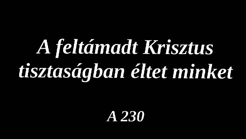 A feltámadt Krisztus tisztaságban éltet minket