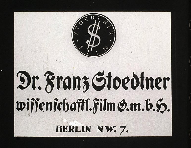 Emlősök V. (Zoologie V.)