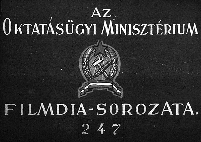 A szocialista mezőgazdaság II. : Állattenyésztés