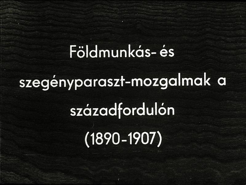 Földmunkás - és szegényparaszt mozgalmak a századfirdulón ( 1890-1907 )