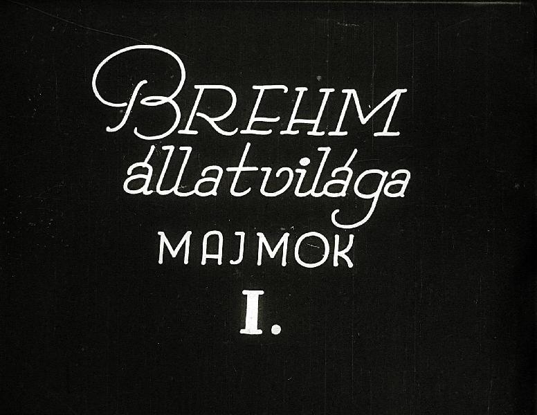 Brehm állatvilága : Majmok I.